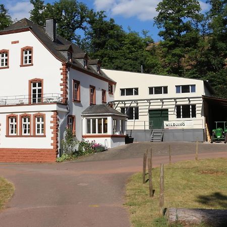 Gaestehaus Herrenmuehle Freudenburg  Eksteriør billede