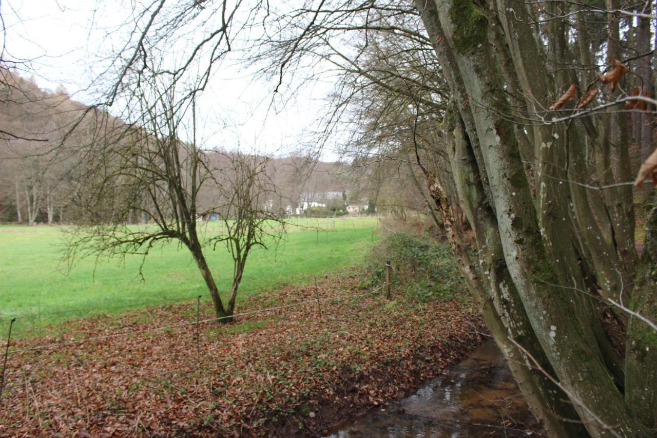 Gaestehaus Herrenmuehle Freudenburg  Eksteriør billede