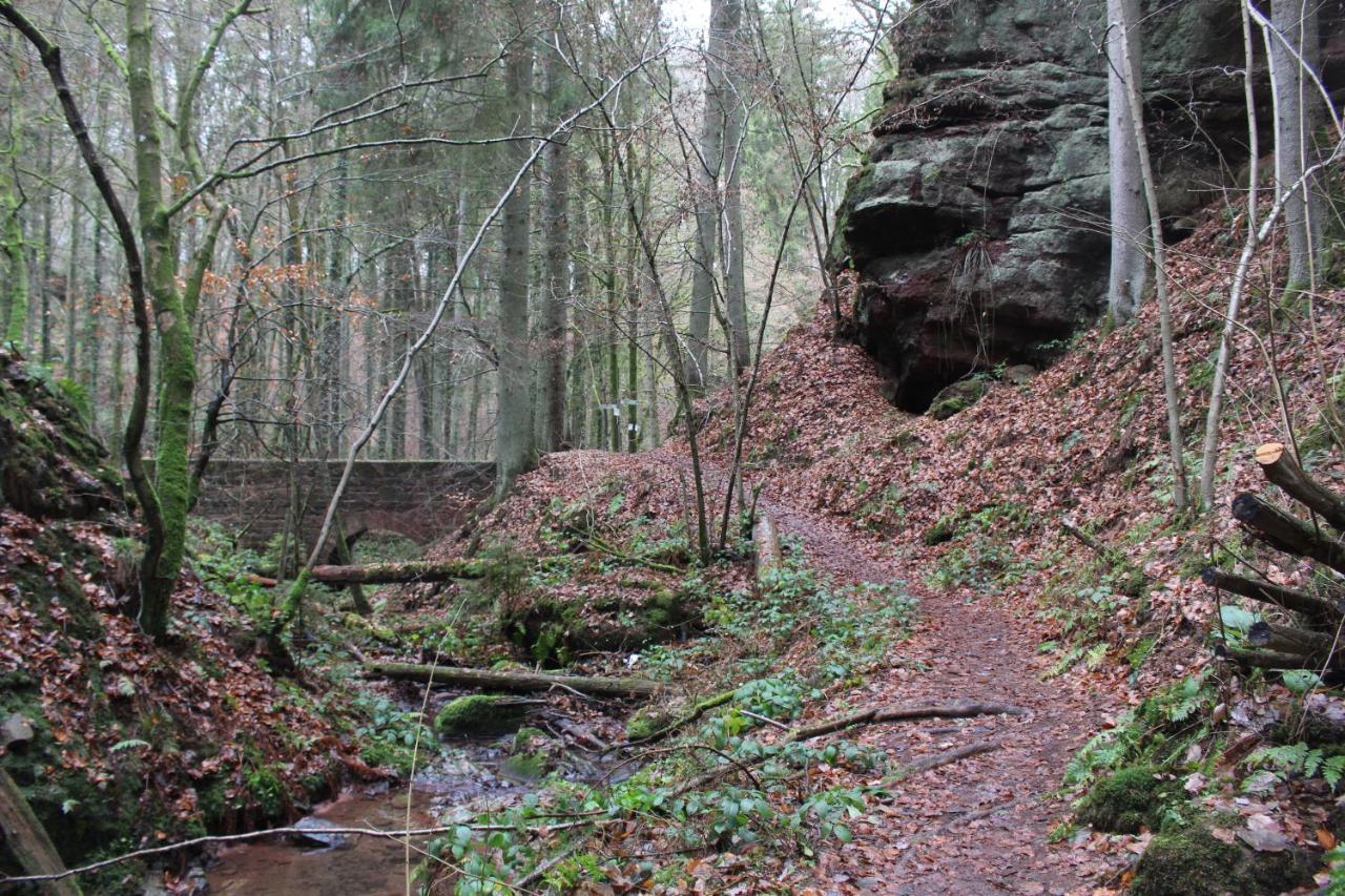 Gaestehaus Herrenmuehle Freudenburg  Eksteriør billede